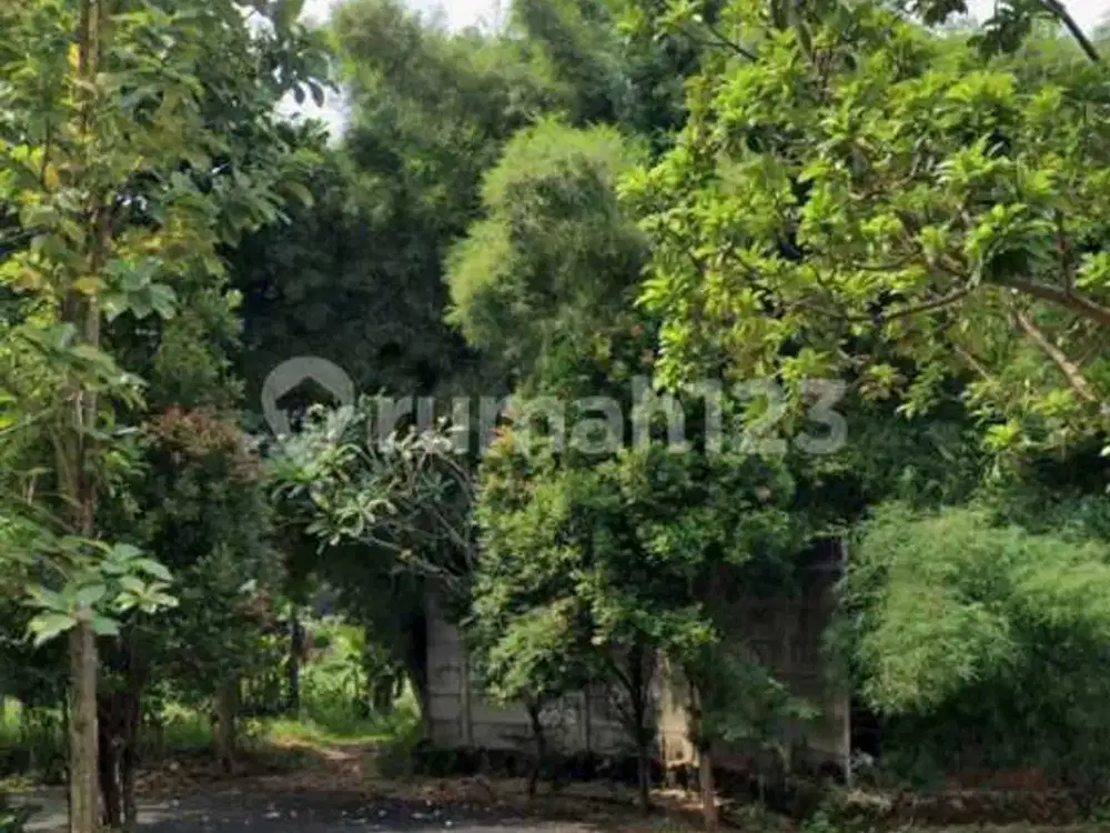 Kavling Kuldesak Lokasi Asri di Tengah Kota BSD