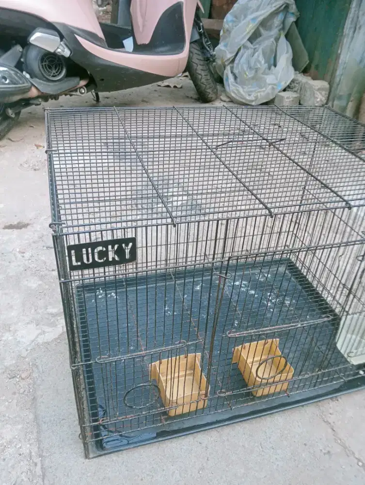 Kandang kotak ukuran 40+60cm bhn kawat