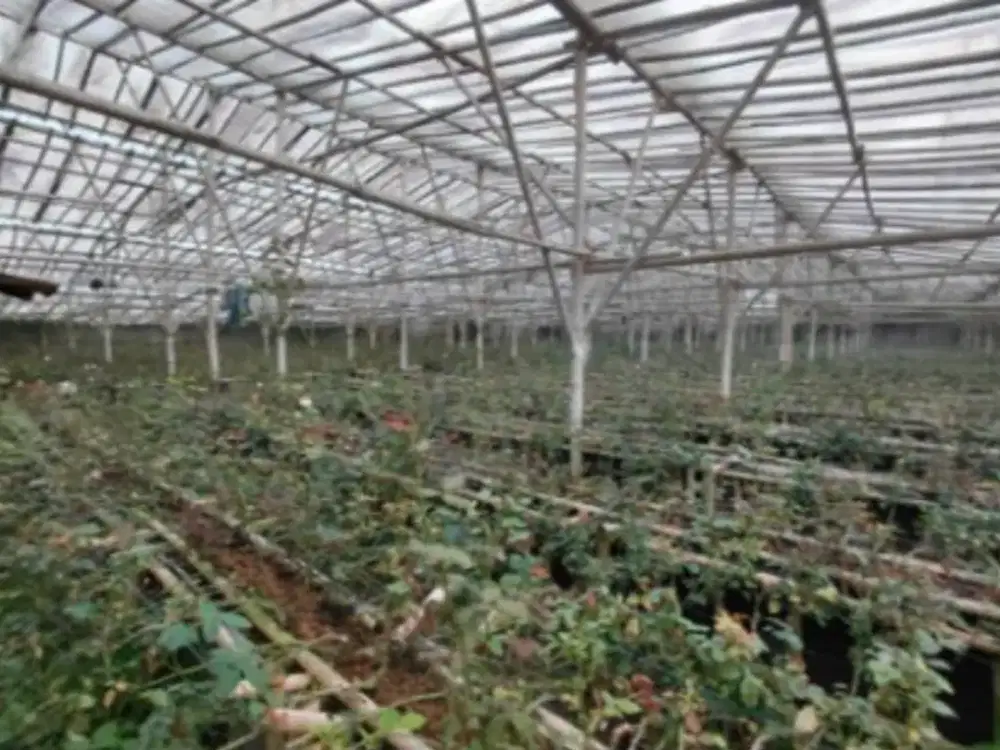 Murah Tanah di Karyawangi Parongpong