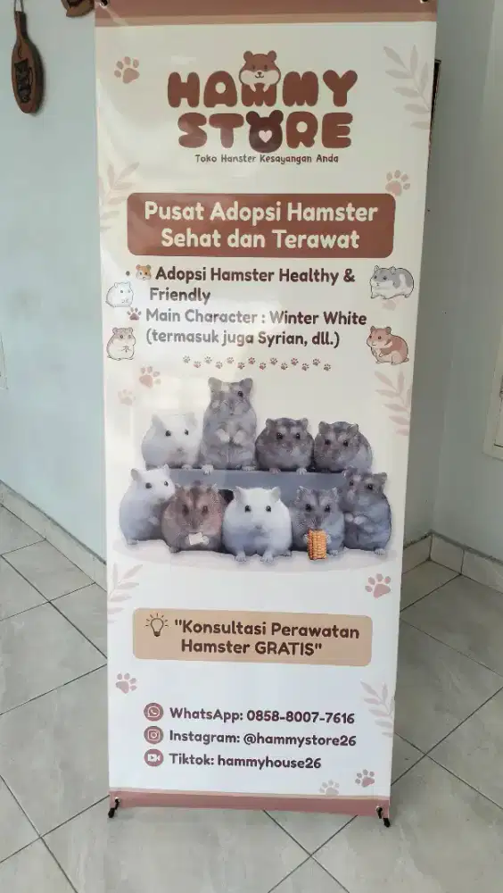 Hamster Winter Tiger