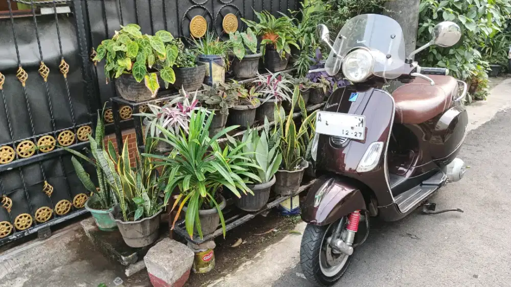 Vespa LX 150 warna coklat