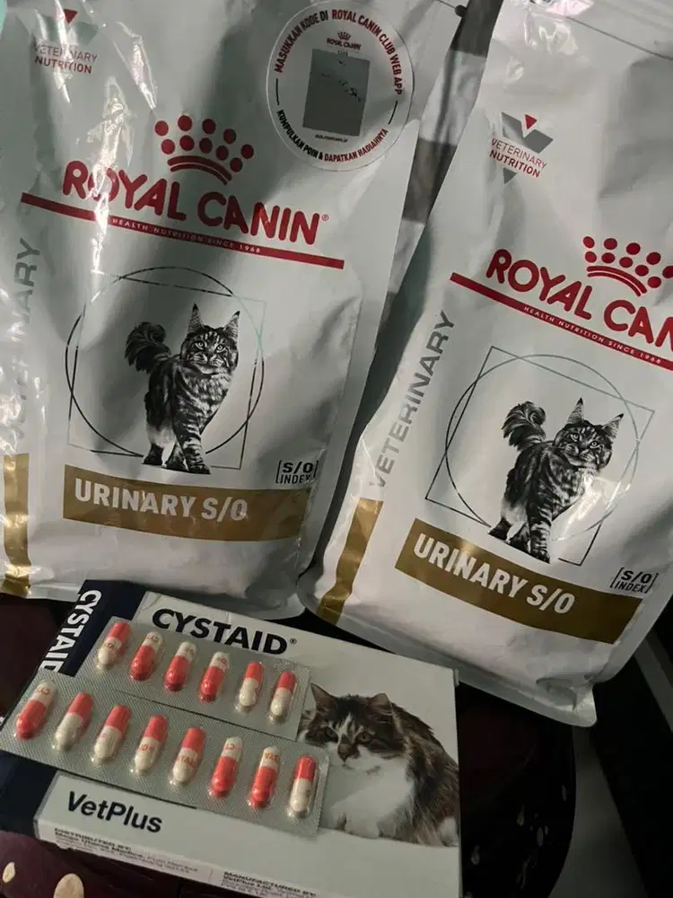 Royal Canin Urinary s/o dan cystaid plus