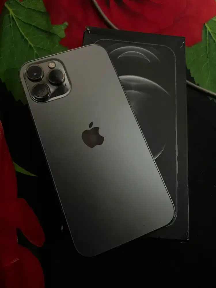 iPhone 12 promax256
