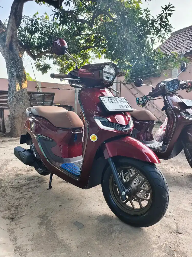 Stylo 160 abs limited edition burgundy