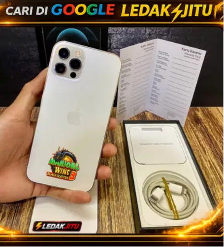 Iphone 12 pro 256gb silver second resmi