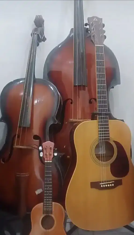 Cello Bass, Guitar Akustik dan Akulele