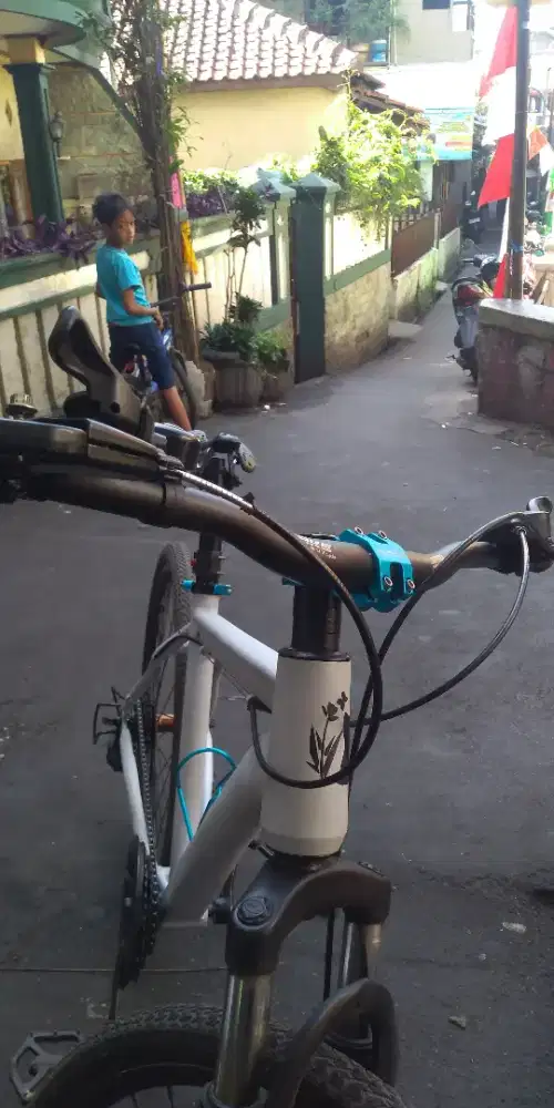 Exotic Mtb Uk 26