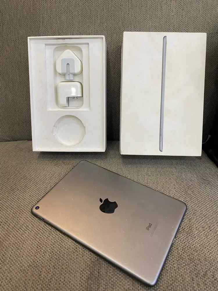 iPad mini 5 256gb wifi