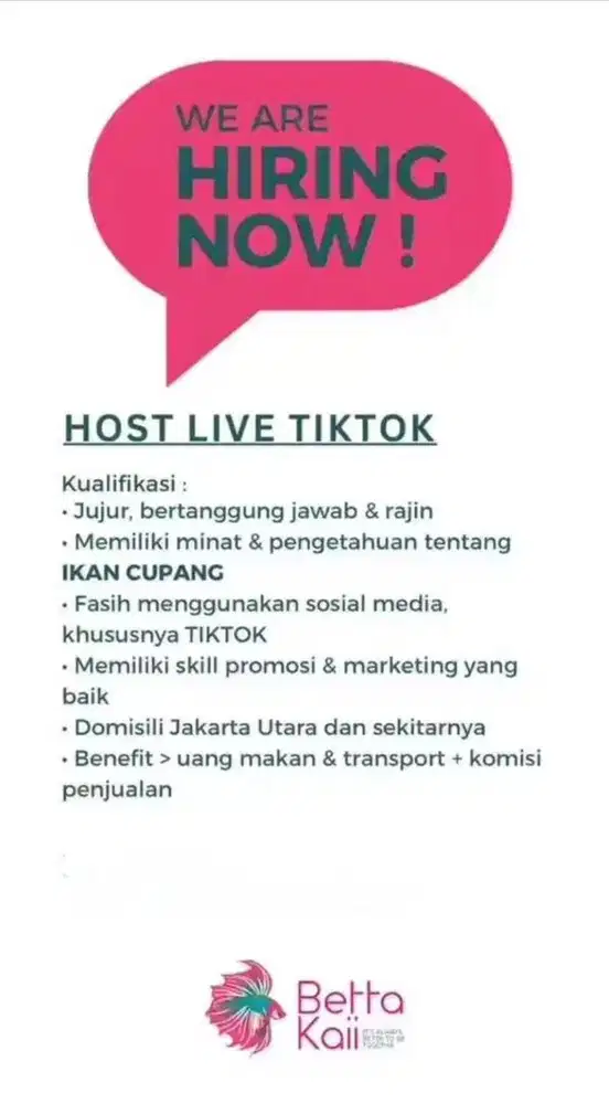 LOWONGAN HOST LIVE JUALAN IKAN CUPANG BETTA KAII
