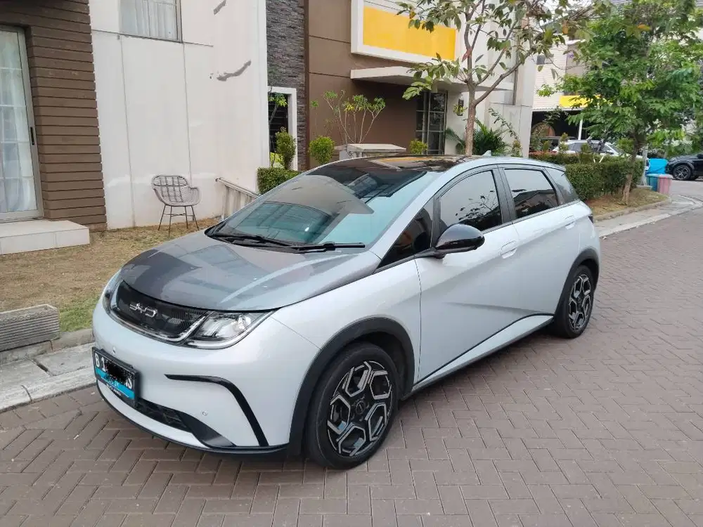 BYD Dolphin 2024,Premium, white
