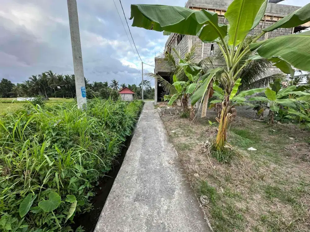Tanah SHM View Sawah di Ubud, Dekat Kampus Mediterranean Bali