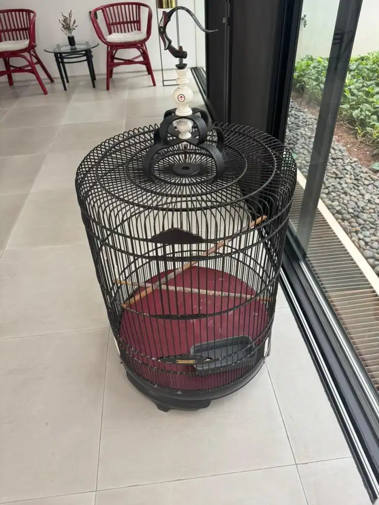Sangkar Burung Murai Kacer Besar No 2 Big Birdcage