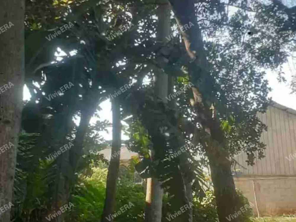 Dijual Tanah kosong pinggir jalan
