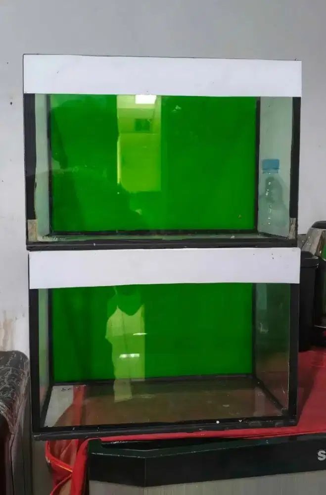 Akuarium Kaca Kecil