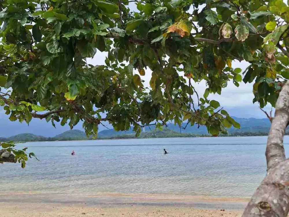 tanah pantai pasir putih teluk gok bay