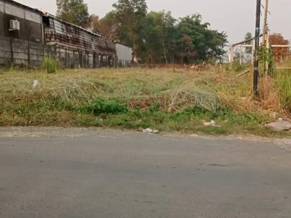 DIJUAL CEPAT – TANAH KOMERSIAL STRATEGIS DI BANTAR PANJANG TIGARAKSA TANGERANG