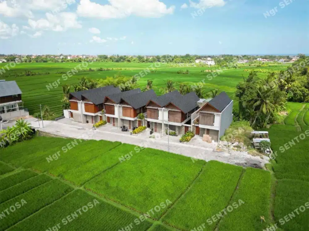 Villa Kedungu Baru View Sawah dan Sungai