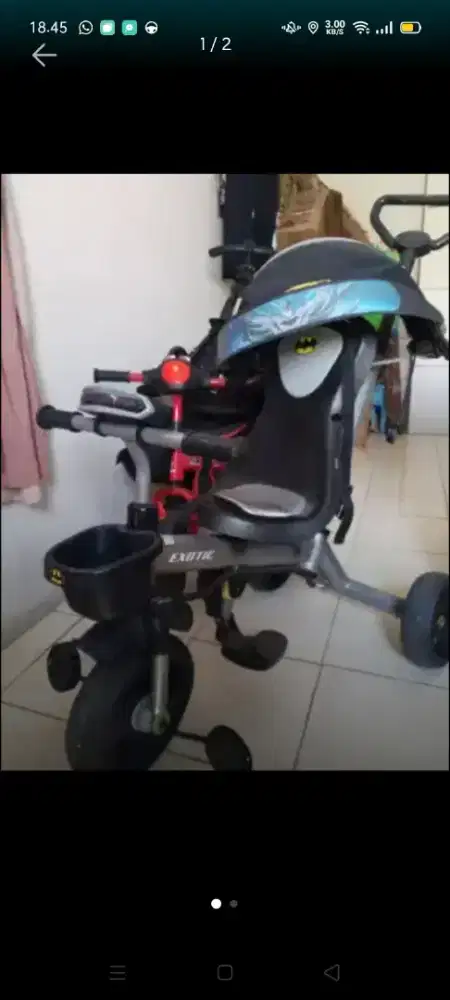 Sepeda exotic anak