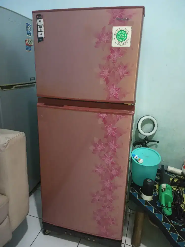 Kulkas sharp 2 pintu