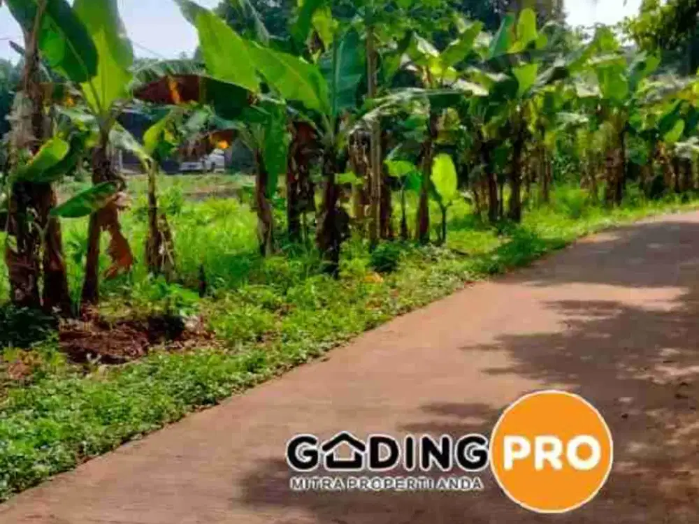 Taman Rahayu, Setu, Kab Bekasi. Tanah Kavling Dijual