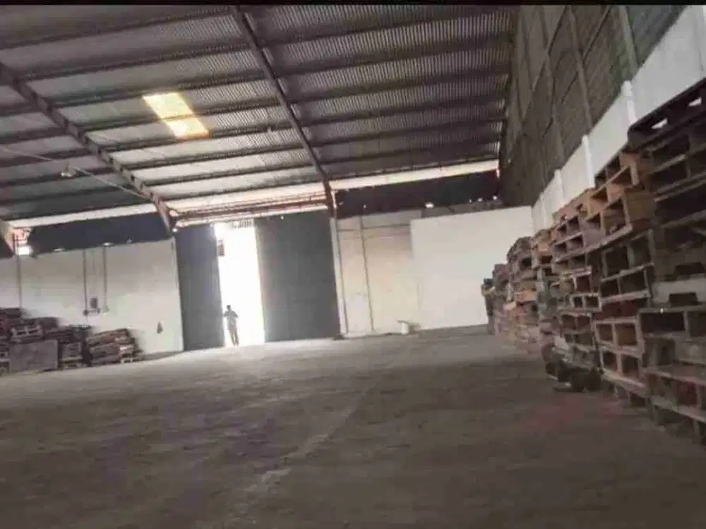 Disewakan Gudang di Plumpang Semper, Jakarta Utara