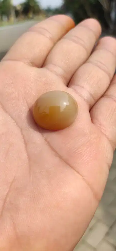 Batu Natural Kembang Johar Cirebon 01 Kristal HQ Super Langka
