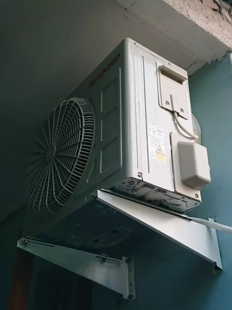 Ac sharp 1/2 pk