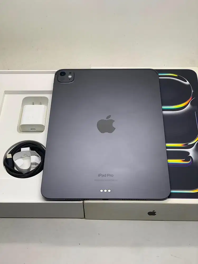 iPad Pro M4 256gb 11-inci