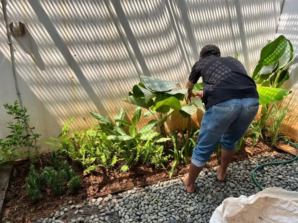 Lowongan Kerja Dicari Tukang Taman