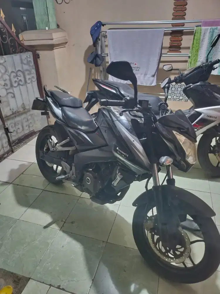 Kawasaki Pulsar 200cc