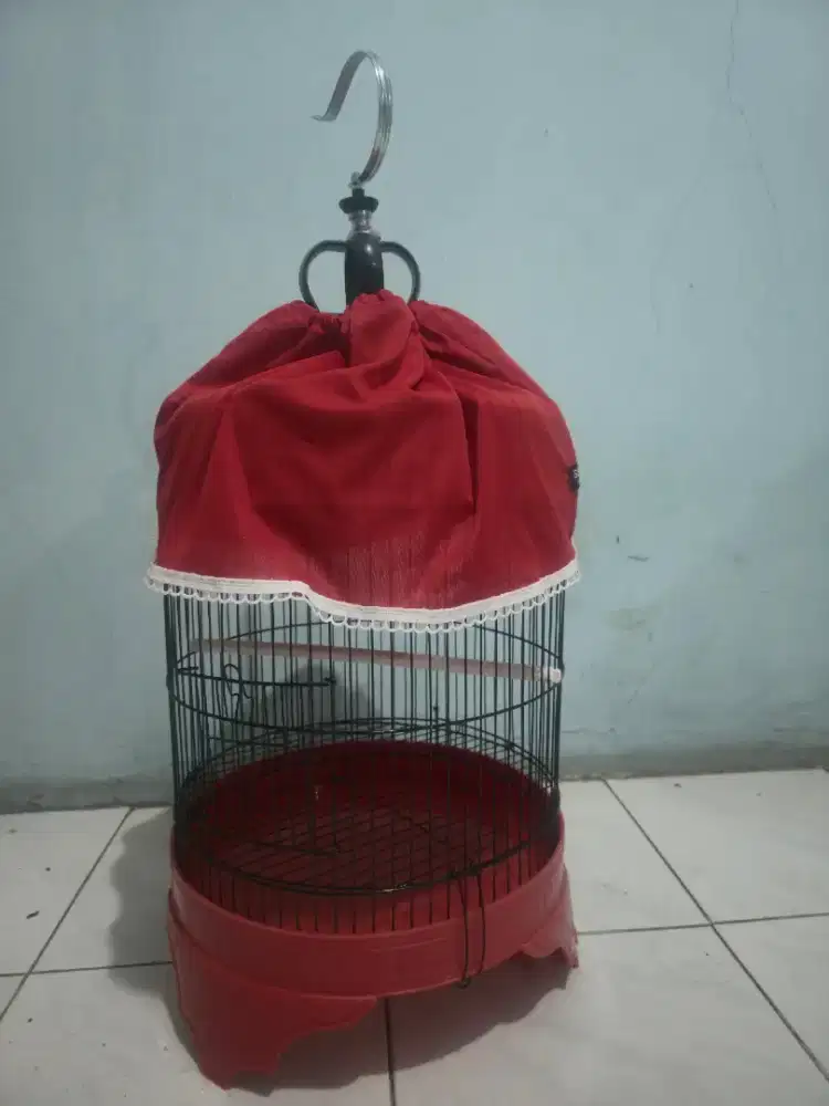 kandang perkutut baru
