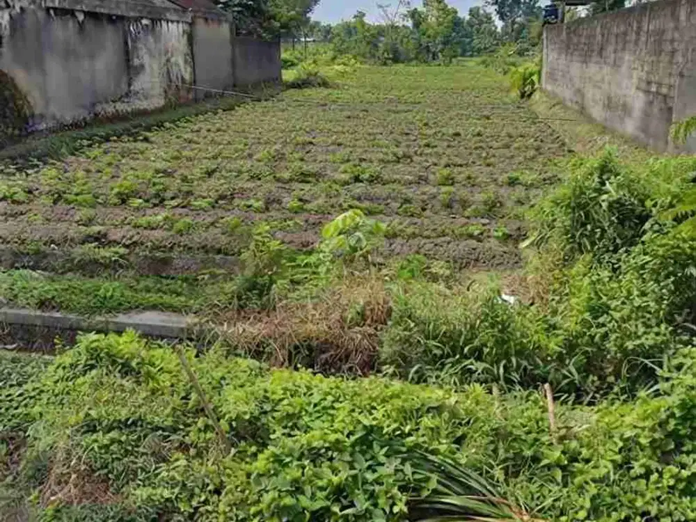 JUAL TANAH STRATEGIS BENGAWAN SOLO KOTA BLITAR