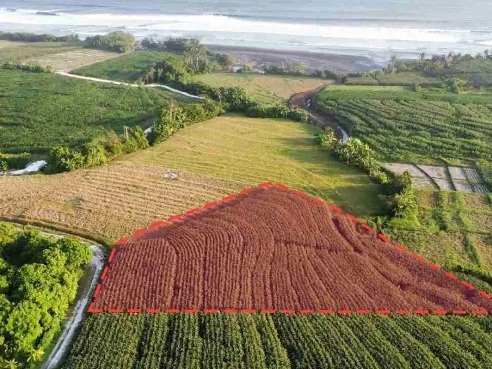 jual tanah murah di tabanan.pasut kerambitan.lt 3200 m2 harga300/ are