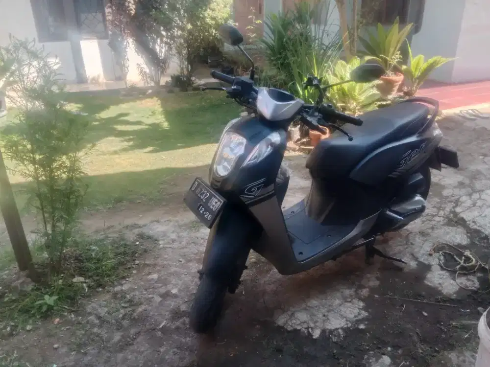 Honda genio mulus
