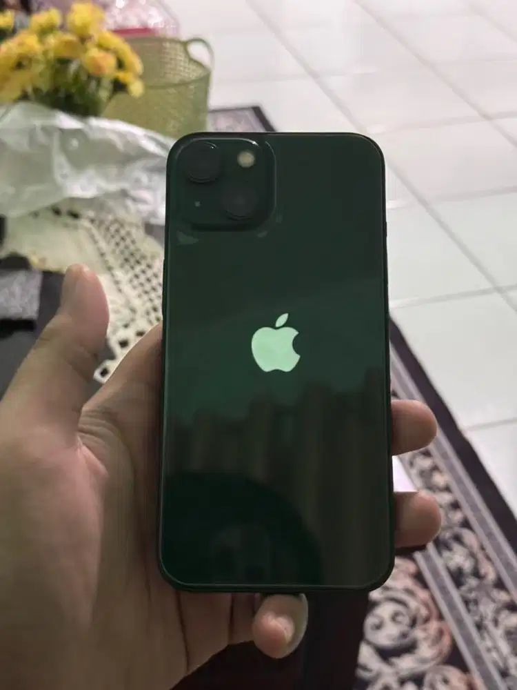 iphone 13 green 128gb minus pemakaian