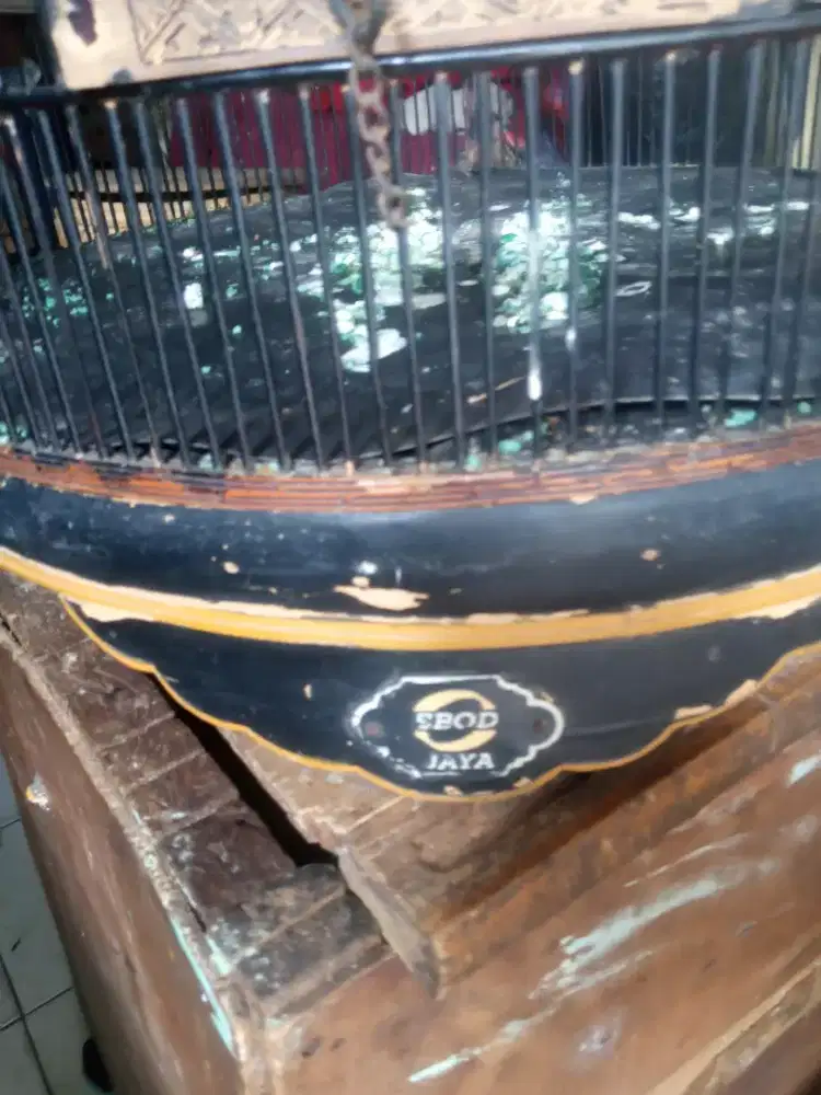 Muray medan pe. 19 pastol ring fs