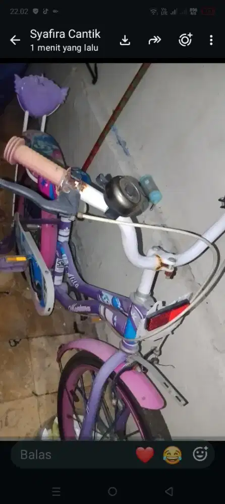 Sepeda anak edisi gak kepake