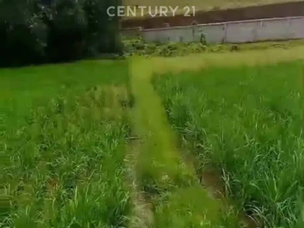 Sawah 8000 Meter Untuk Investasi Jayasampurna Bekasi