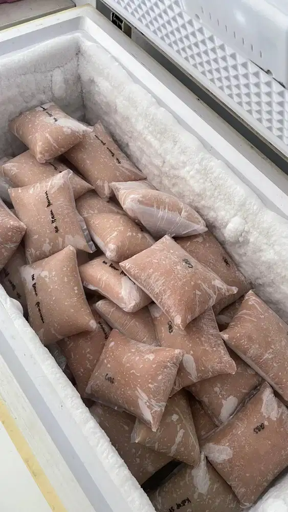Ikan giling frozen