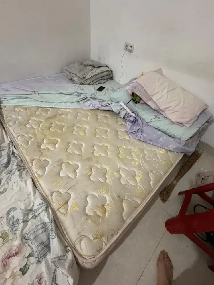 Kasur Springbed