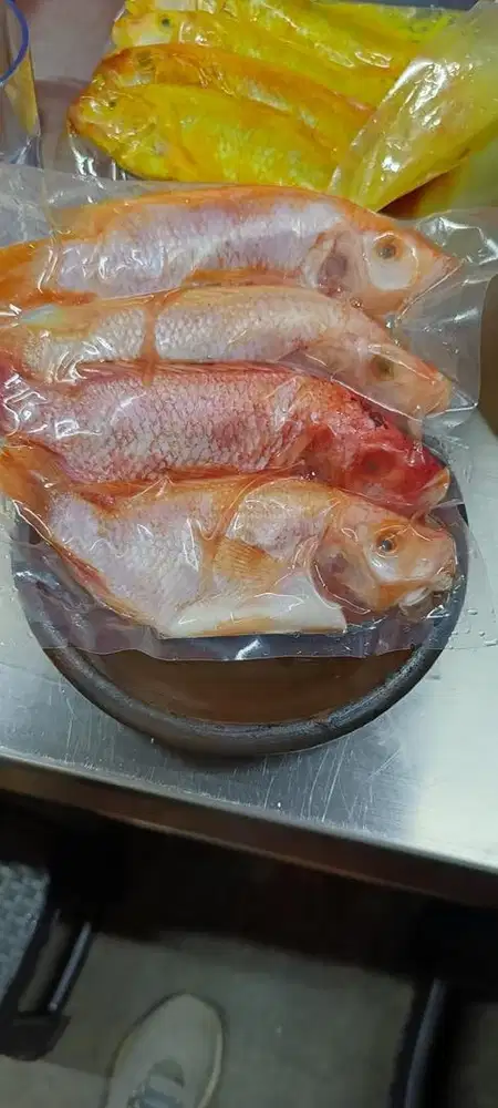 IKAN MARINASI ENAK FROZEN