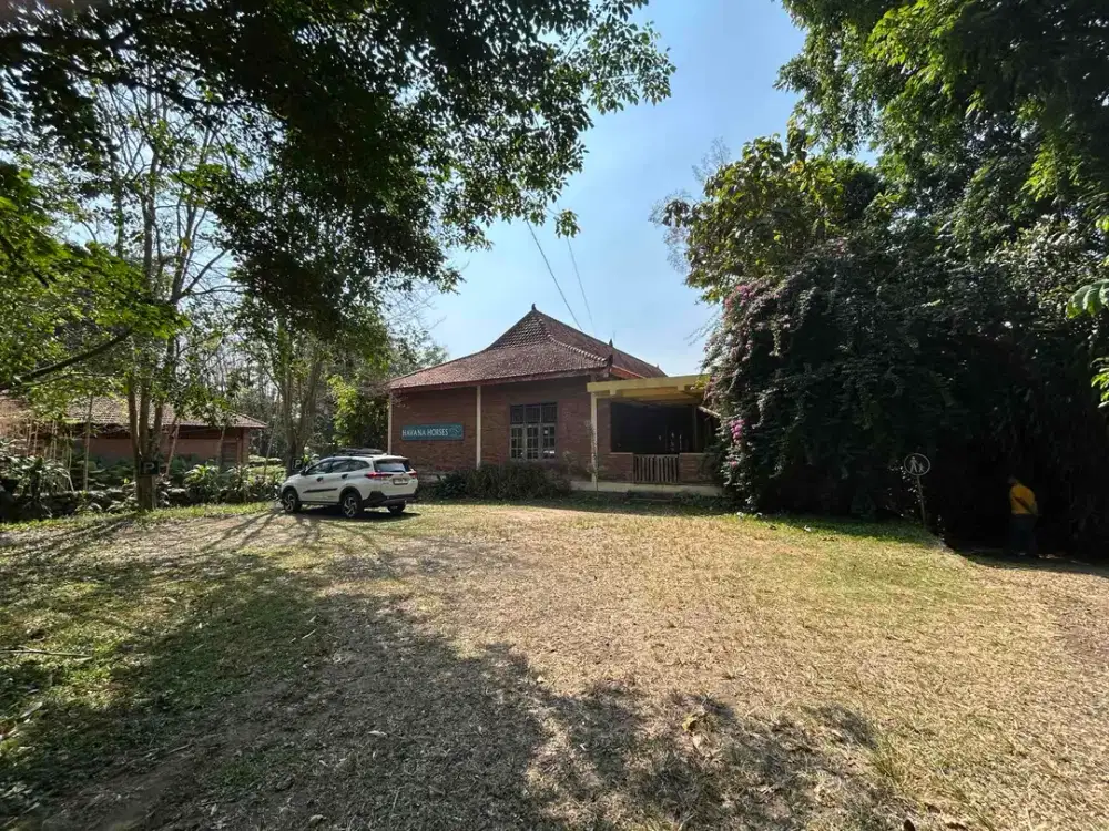 tanah dijual di Tegalwaton