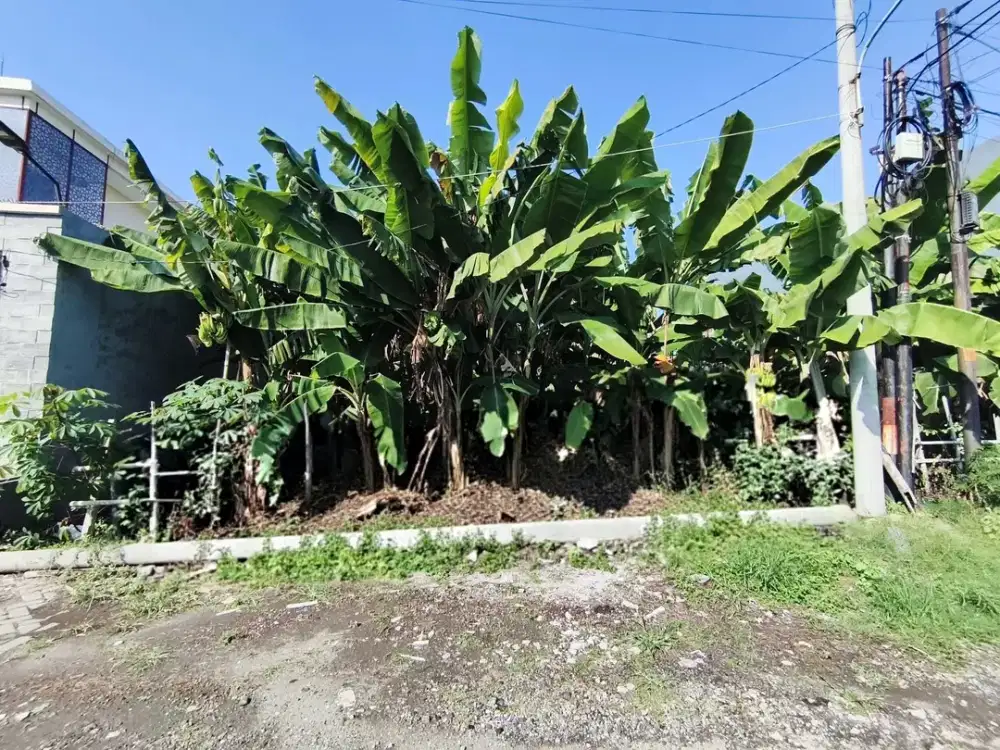 manyar indah