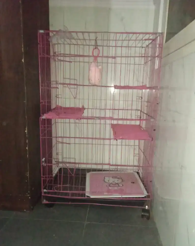 Kandang kucing muraaah