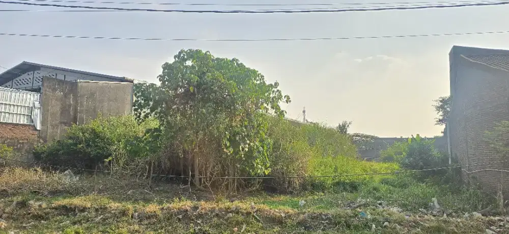 DI JUAL/SEWA TANAH SIAP BANGUN DI WOLTER MONGINSIDI - SEMARANG TIMUR