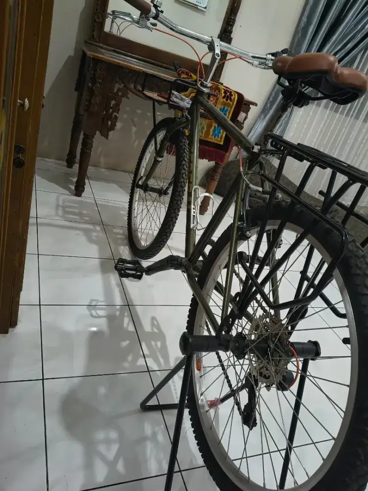 Sepeda federal / commuter bike