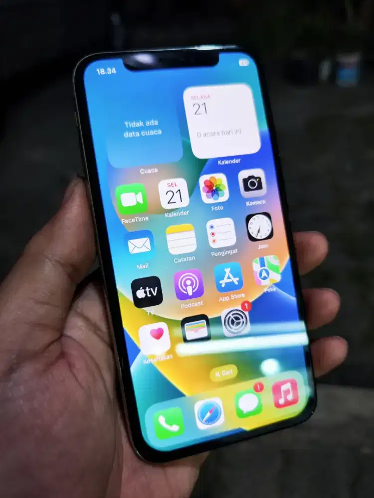 Iphone X inter 256GB