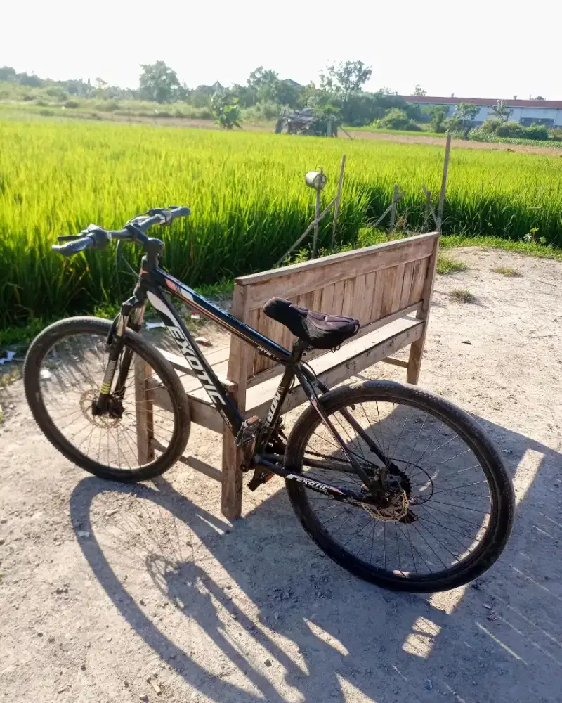 Sepeda Exotic MTB1.0 R26