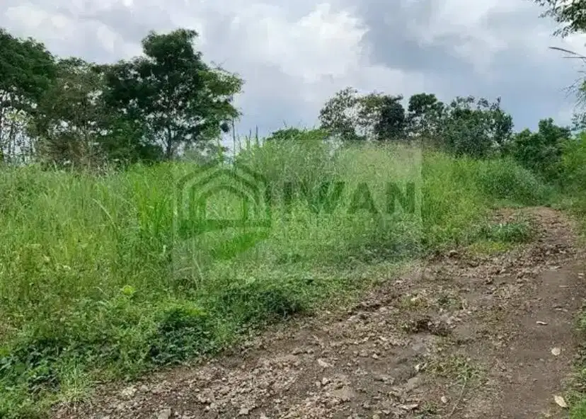 Tanah Kering Dengan Muka 100m Dekat Jalan Raya Kabupaten