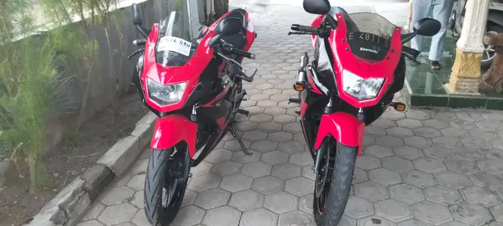 Ninja rr new 2014